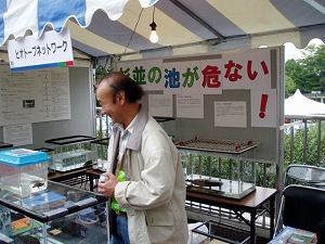 sugi-9.jpg