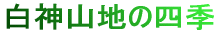 ���_�R�n�̎l�G�V�[���̔��ֈړ����܂� 
