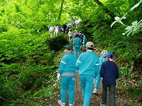s-kurokumasansaku.jpg