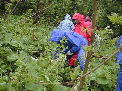 kirabu-2.jpg