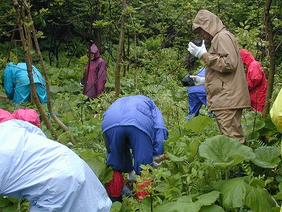 kurabu.jpg