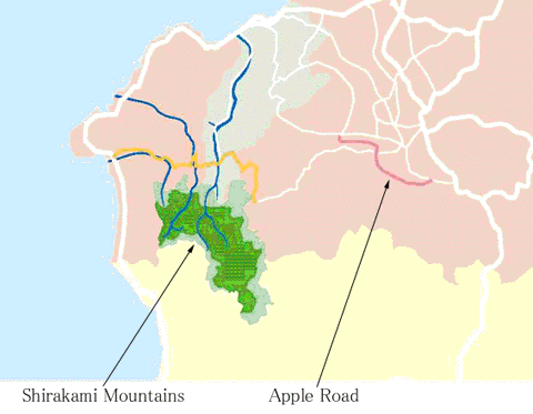 map02