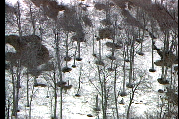 春の雪解け (2)