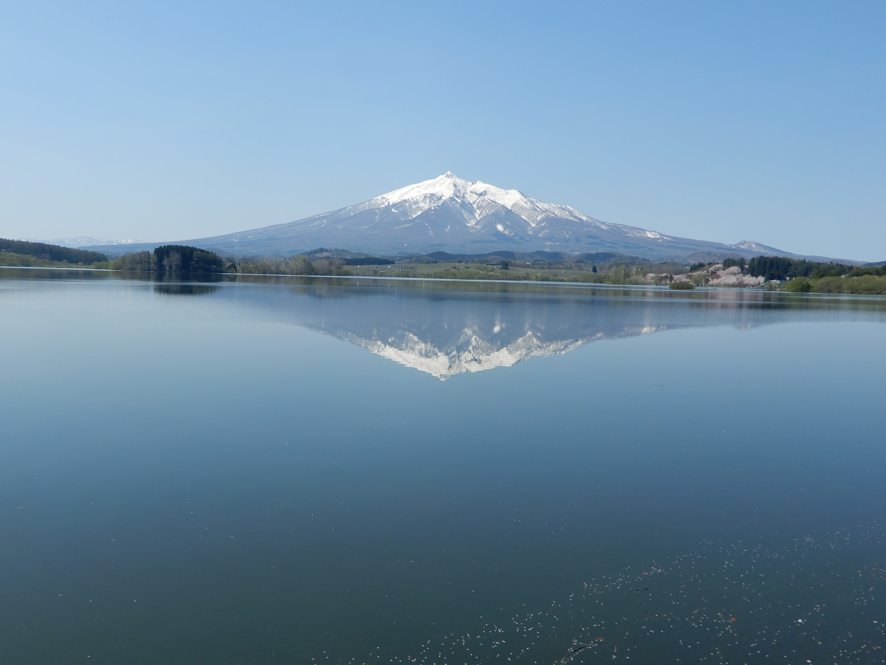 DSCN9745